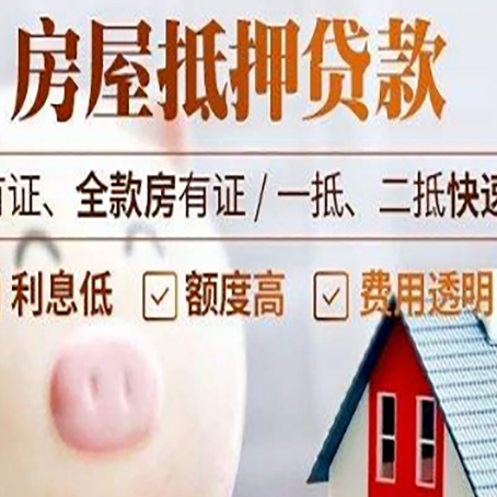 龙楼镇贷款助贷公司新渝启服成立时间久